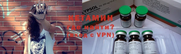 крисы Новозыбков