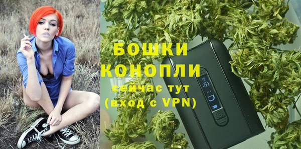 крисы Новозыбков