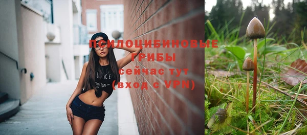 спайс Абинск