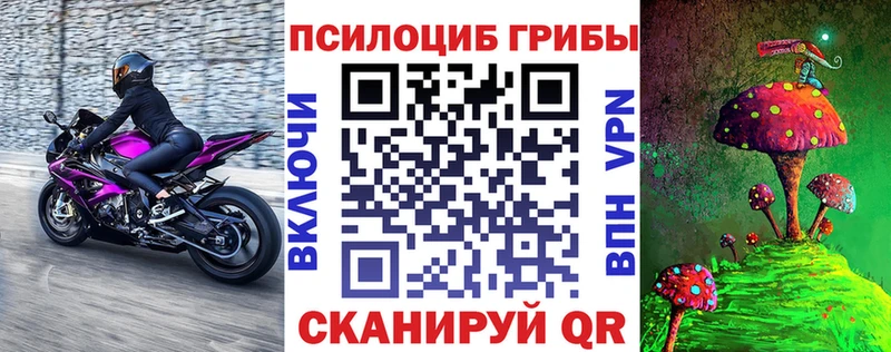 Галлюциногенные грибы Magic Shrooms  купить закладку  Сычёвка 